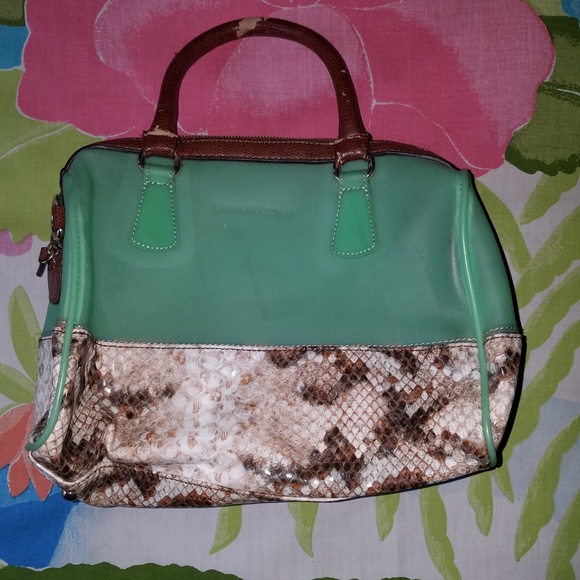 Danna Buchman Handbags - Dana Buchman Lime and brown color Handbag